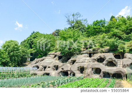 Nagaoka Hundred Holes Kofun 55035864