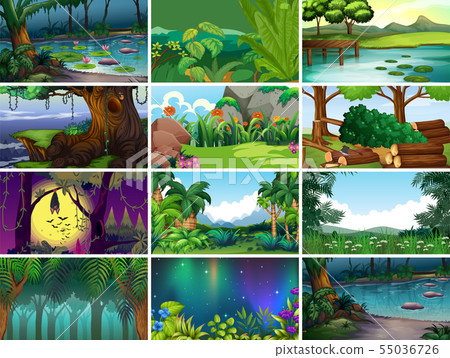 Empty, blank landscape nature scenes 55036726