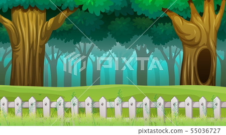 Woods scene with fence 55036727