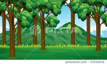 Empty background nature scenery 55036938
