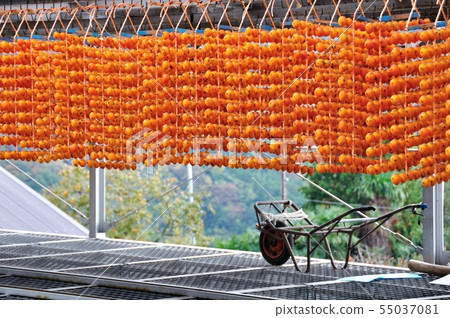 Kusaki no Sato 55037081