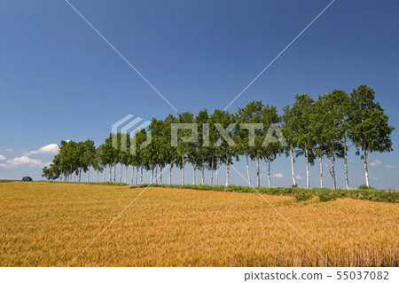 Image of traveling by car Image of traveling by car 55037082