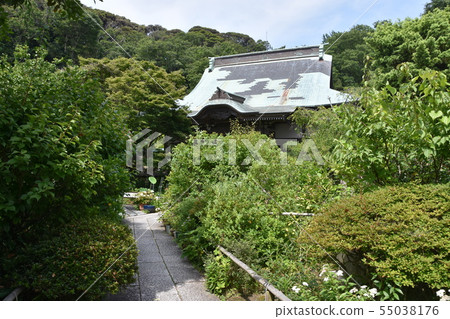 鎌倉市Myohoji Temple大廳 55038176