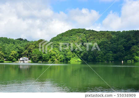 山梨縣清里市的一個美麗的池塘 山梨縣清里市的一個美麗的池塘 55038909