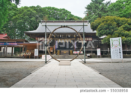 Hiratsuka Hachimangu Palace Goten and the circle of roses (summer) 55038958