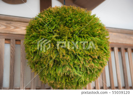 Town of Murakami 55039120