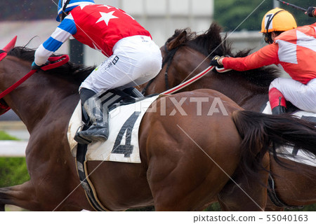 佐賀賽馬 55040163