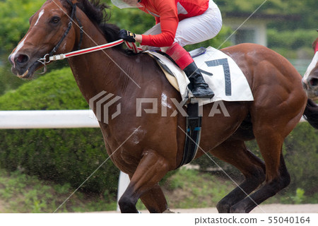 佐賀賽馬 佐賀賽馬 55040164