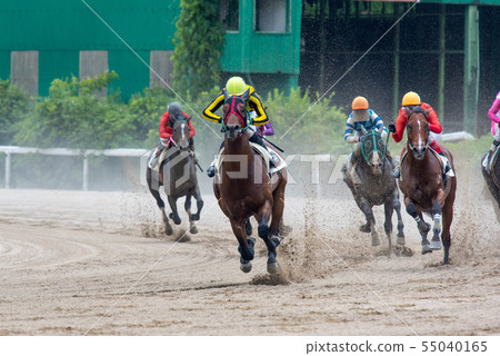 佐賀賽馬 55040165