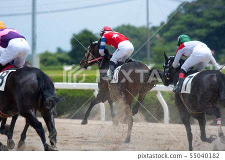 佐賀賽馬 佐賀賽馬 55040182