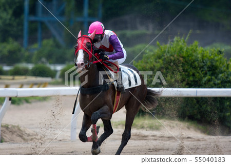 佐賀賽馬 佐賀賽馬 55040183