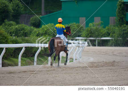 Saga horse racing 55040191