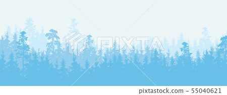 Wide illustration of a coniferous forest in winter 55040621