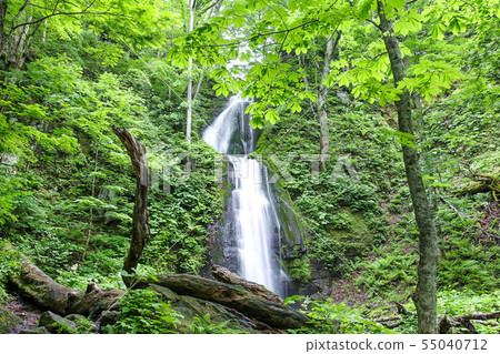 Oirase溪流瀑布 Oirase溪流瀑布 55040712