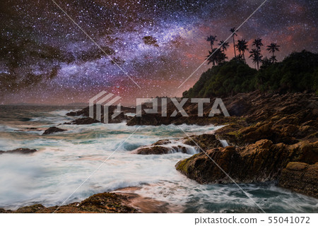 Tropical beach with palm trees under starry sky with Milky Way 55041072