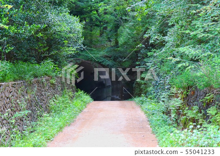 Kobe City Forest Botanical Garden Forest Tunnel Kobe City Forest Botanical Garden Forest Tunnel 55041233