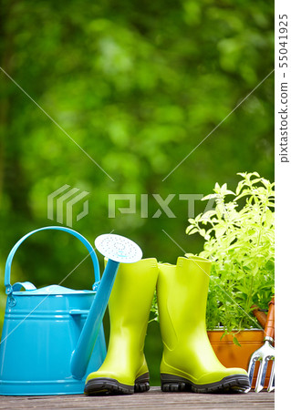 Outdoor gardening tools 55041925