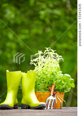Gardening tools 55041926