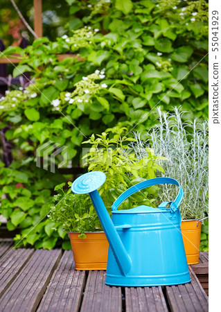 Outdoor gardening tools 55041929