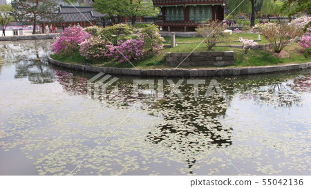 A sweet pond A sweet pond 55042136