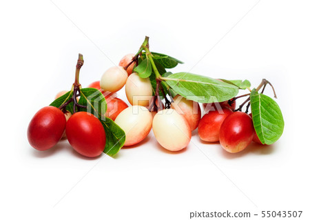Group of Karonda Fruits on the iSolated White. Group of Karonda Fruits on the iSolated White. 55043507