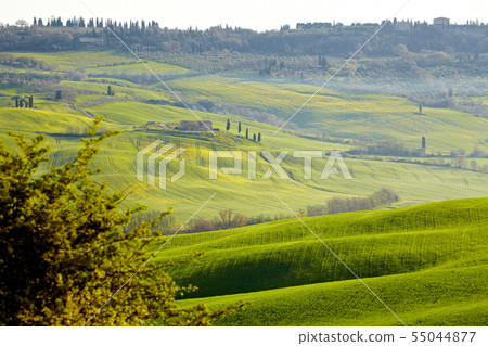 Spring Tuscany 55044877