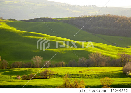 Spring Tuscany Spring Tuscany 55044882
