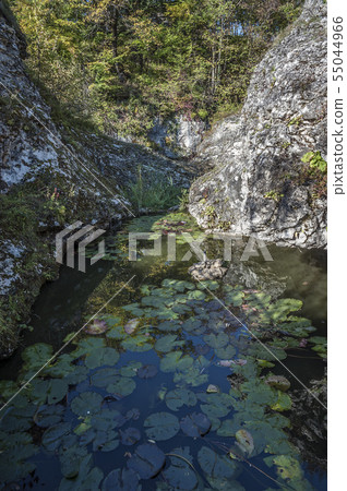 Rough river in Khadzhokhsky gorge . Rough river in Khadzhokhsky gorge . 55044966