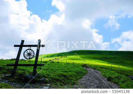 Landscape of Kurumayama plateau (summer) 55045136