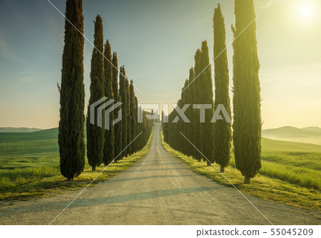 Tuscany, Landscape. Italy Tuscany, Landscape. Italy 55045209