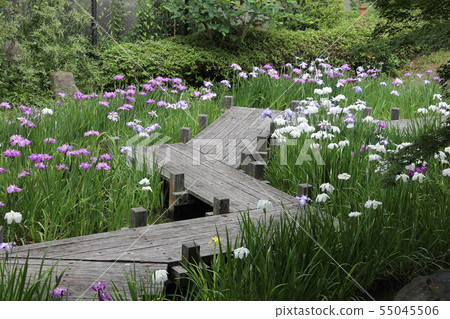 Ikeda Castle ruins park Hanashobu Ikeda Castle ruins park Hanashobu 55045506