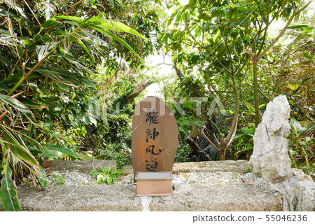 Okinawa  55046236
