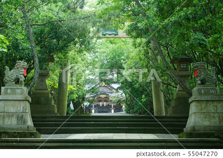 Anzai Sumiyoshi Shrine Anzai Sumiyoshi Shrine 55047270