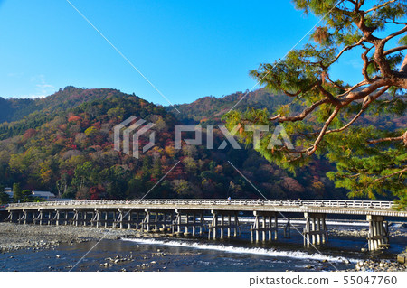 Autumn Kyoto Arashiyama Autumn Kyoto Arashiyama 55047760