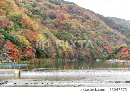 京都嵐山秋葉和桂河 京都嵐山秋葉和桂河 55047775
