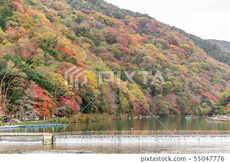 Kyoto Arashiyama Autumn leaves and Katsura River Kyoto Arashiyama Autumn leaves and Katsura River 55047776