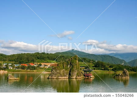 Dodam Sambong 55048266