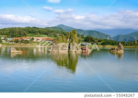 Dodam Sambong Dodam Sambong 55048267