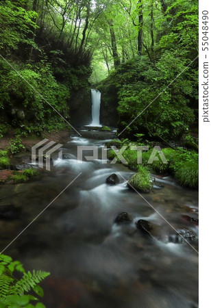 Karuizawa, waterfall of dragon return Karuizawa, waterfall of dragon return 55048490
