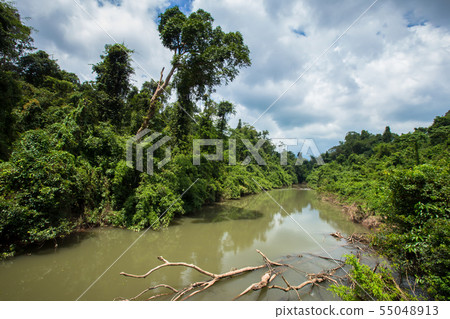 River, Rock - Object, Stream - Flowing Water, 55048913