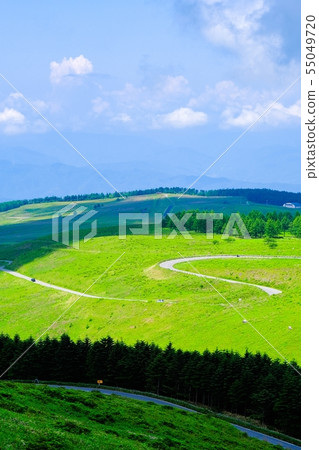 Kurumayama高原的景觀（夏天） 55049720