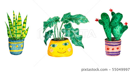 Potted plants set, watercolor illustration Potted plants set, watercolor illustration 55049997