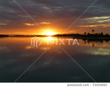 海上黎明 55050891