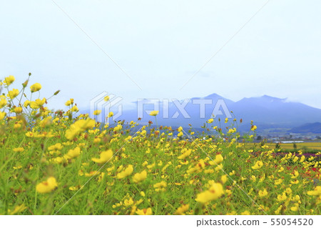 Landscape seen from Farm Tomida, Furano-cho, Sorachigun, Hokkaido 55054520