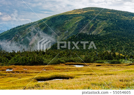 Wetlands of Mt. Ikeno and Hiragatake 55054605