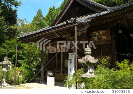 恩湖蓮花寺 55055836