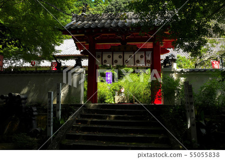 Enshu Lotus Temple 55055838