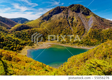 Nikko Shirane和Ishikinuma的秋葉 Nikko Shirane和Ishikinuma的秋葉 55056276