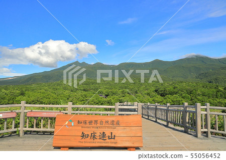 知床五湖_山天文台的知床山_七月 55056452
