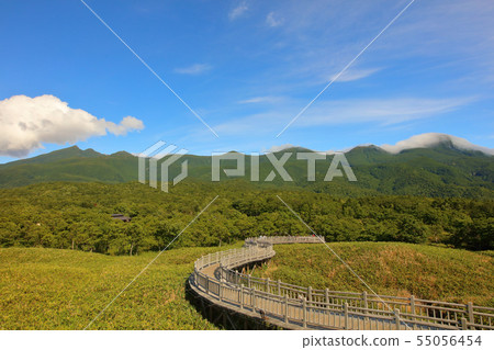 知床五湖_知床山脈從高架木棧道_廣角 55056454